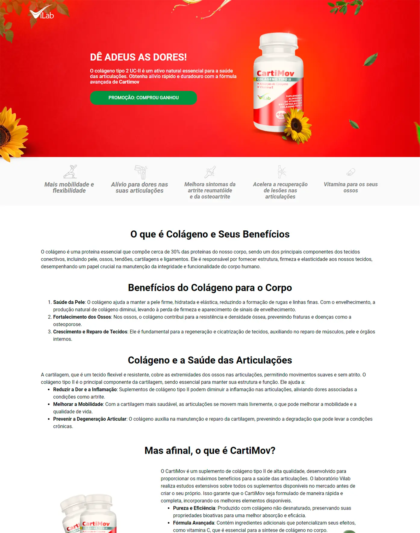 04 - LP promocional vilab 02